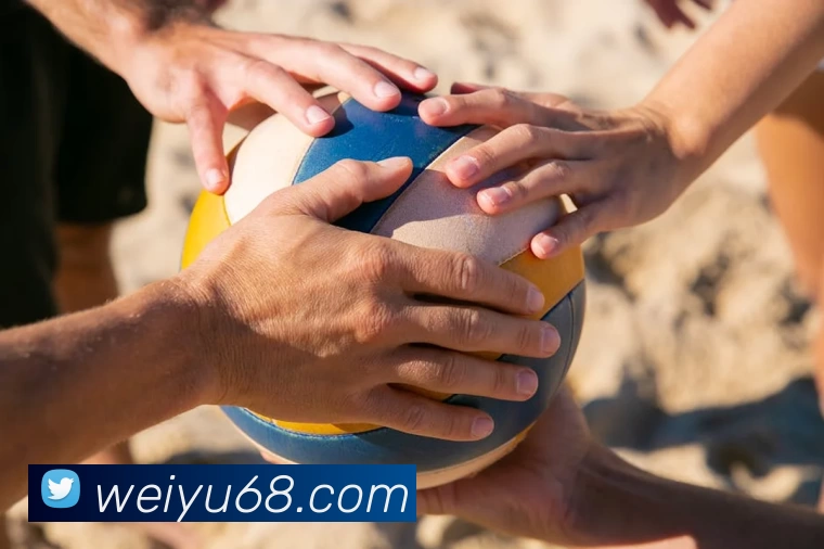 pg国际服下载(中国) - 官方网站平台生态图